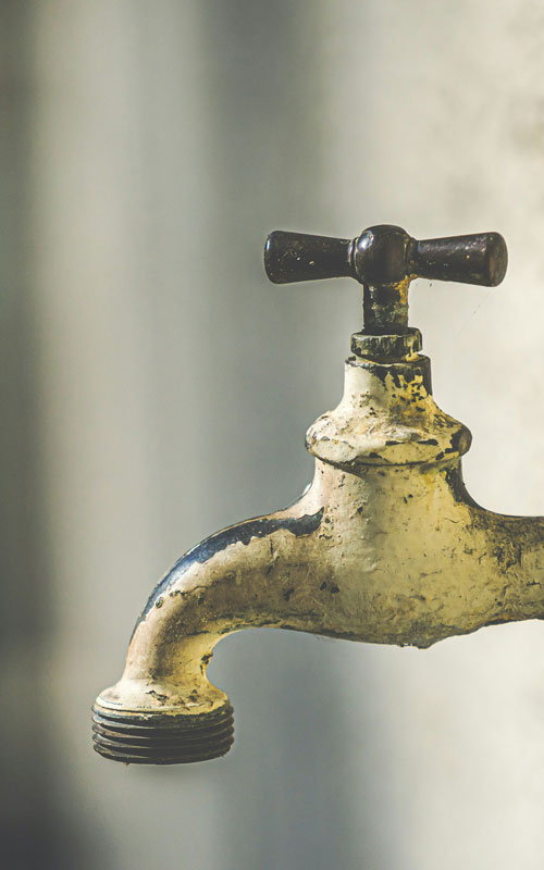 Photo of a sprinkler head spraying water