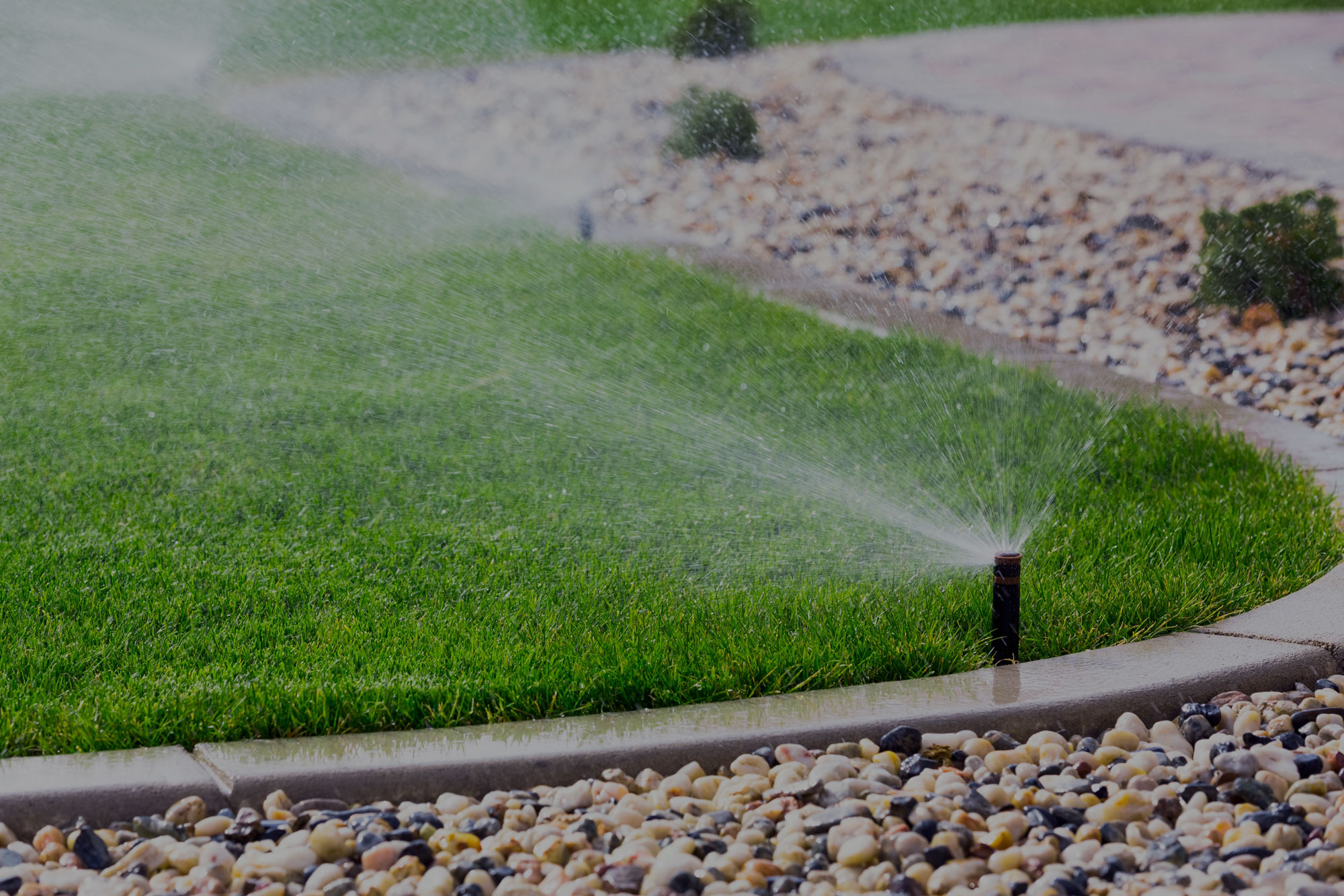 Photo of a sprinkler head spraying water