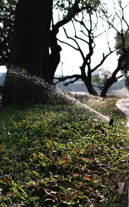 Photo of a sprinkler head spraying water